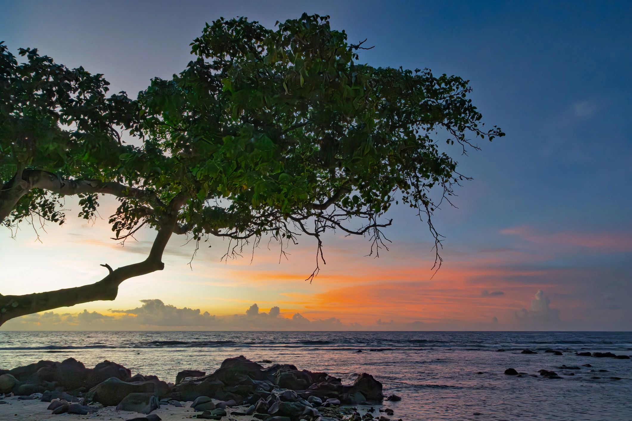 Tropical beach at sunset